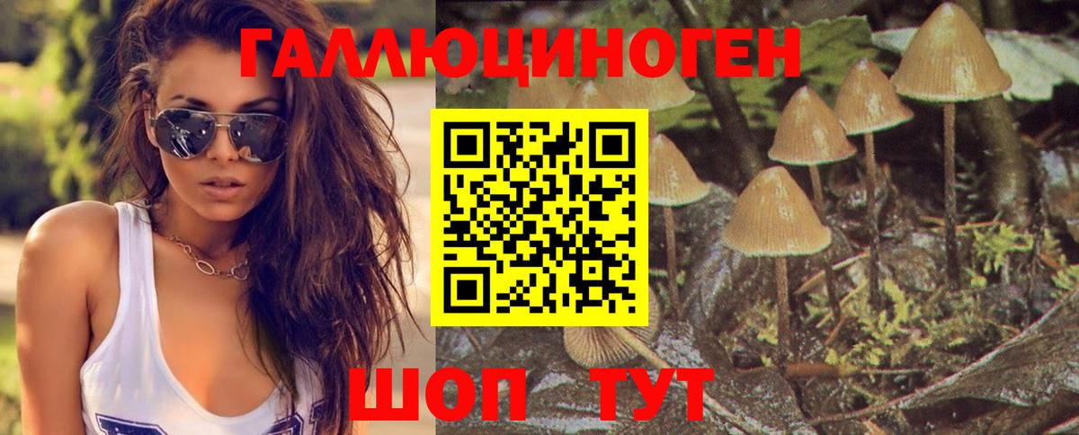 Галлюциногенные грибы мухоморы  Галлюциногенные грибы Psilocybine cubensis  Качканар  Вход с VPN 