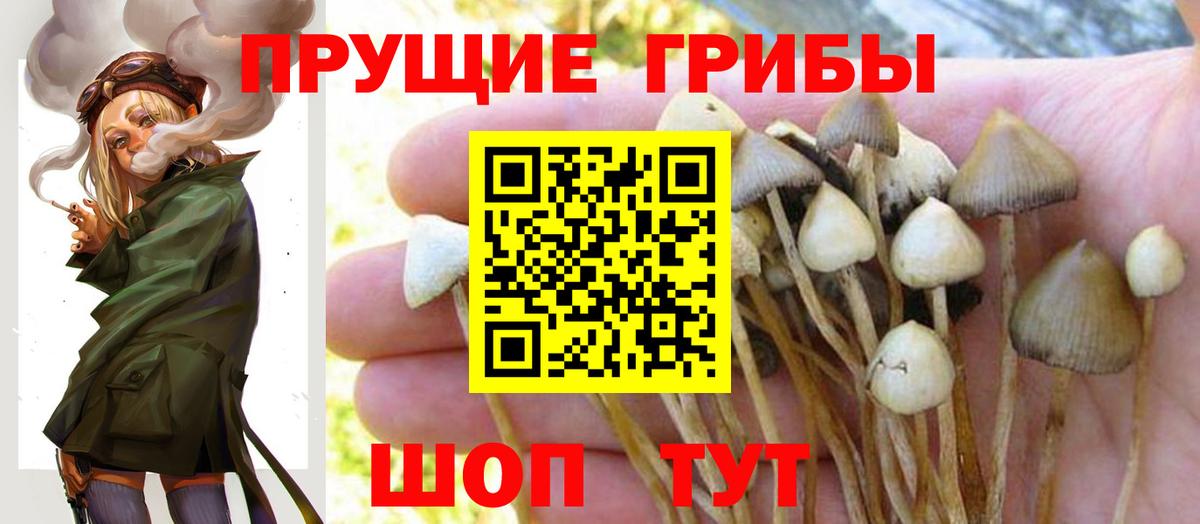 Галлюциногенные грибы мухоморы Качканар